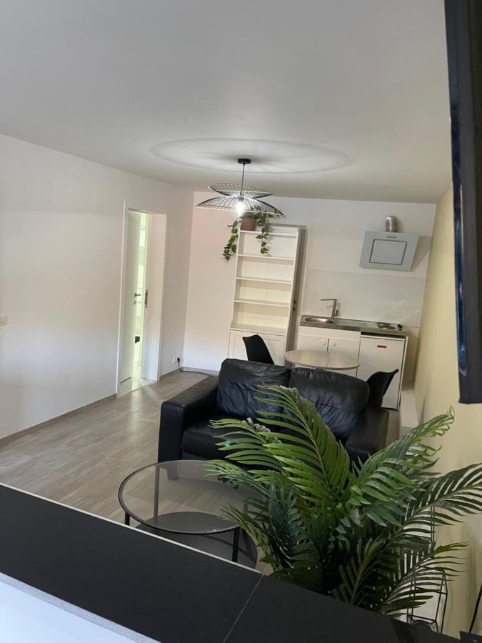 Grand Studio A 5 Minutes Du Centre Namur Eksteriør bilde
